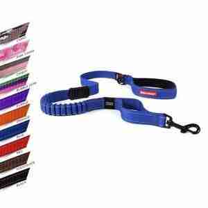 Ezy Dog zero shock lead in purple