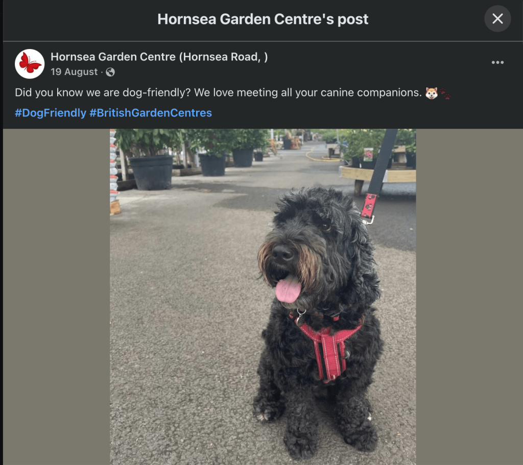 Screenshot of a Facebook post from Hornsea garden center saying that that they are dog friendly and love meeting all canine companions with a photo of dog in a red harness