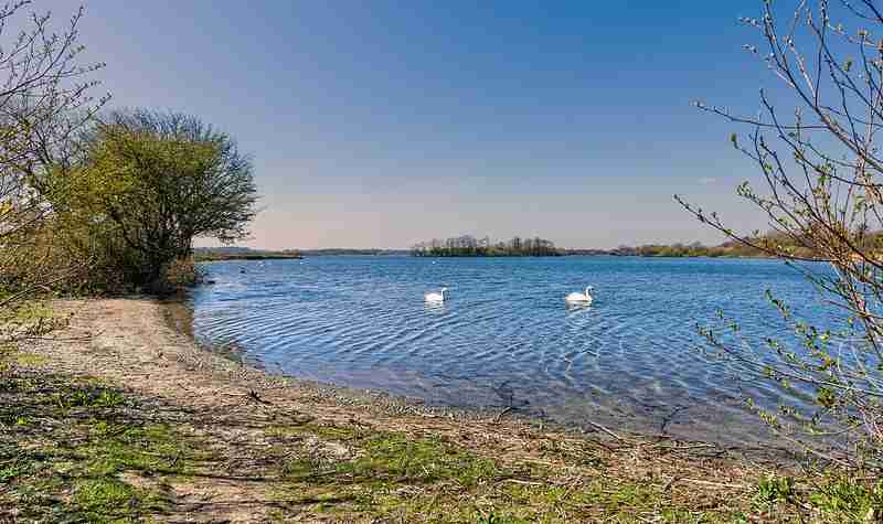 Shot of Hornsea Mere at dusk with the mere in the background with 2 geese