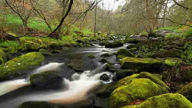 Photo of stream in hardcastle crags with moss covered rocks in and forest behind.