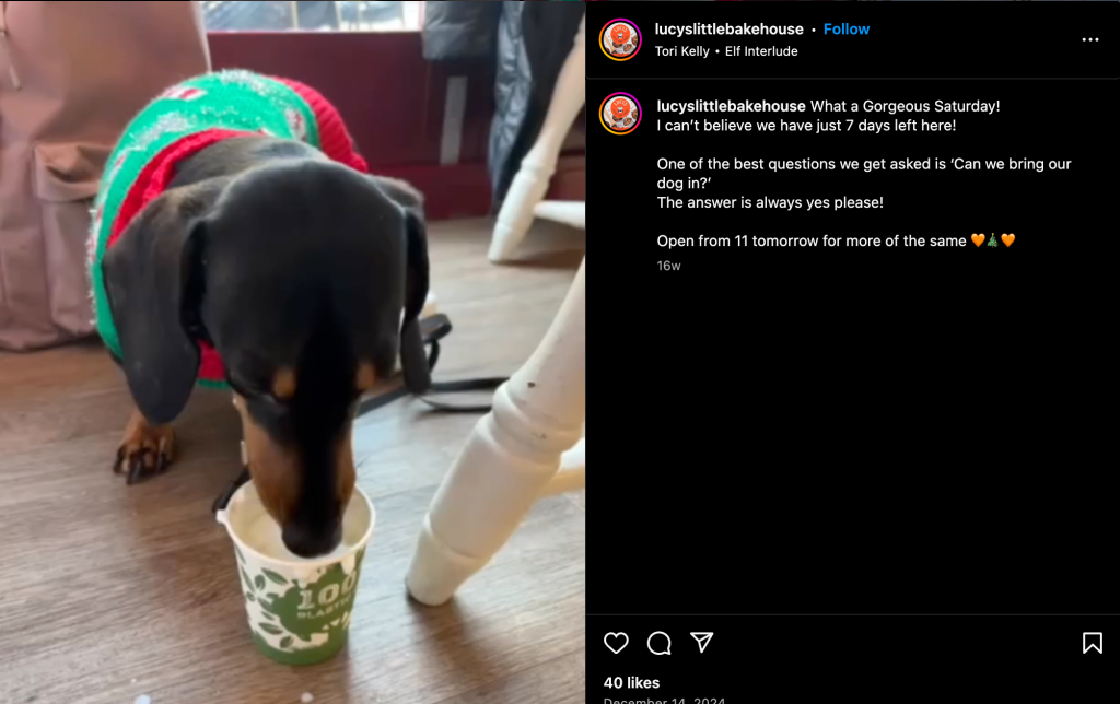 An Instagram post from Lucy answering "Can we bring our dog in?" with her answer always being "Yes Please!" with a photo of a sausage dog drinking a pup cup