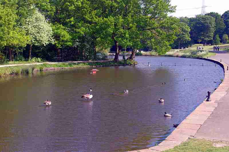 Photo of shibden park pond on a sunny day with ducks in the pond