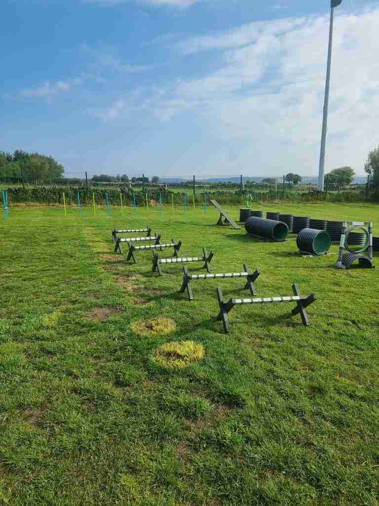 Swallowfields dog field obstacles and agility