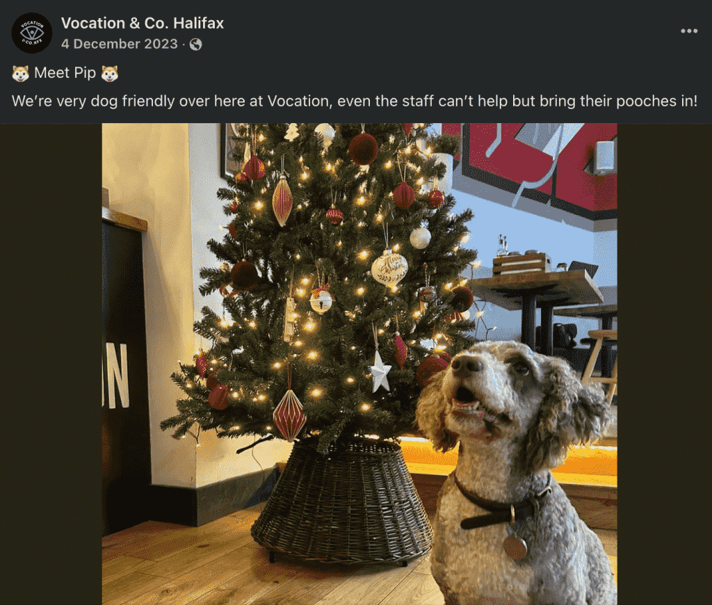 A Facebook post from Vocation & Co showing a dog in front of a Christmas tree with a caption saying they are very dog friendly