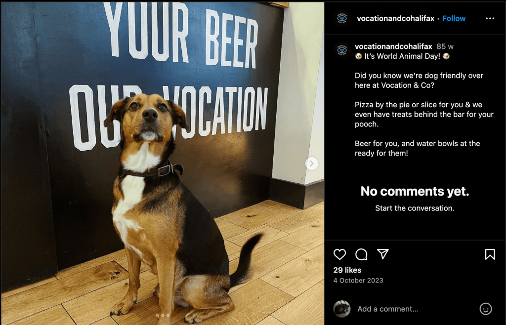 An Instagram post from Vocation & Co showing a dog in their pub saying that Vocation & Co is a dog friendly pub in Halifax