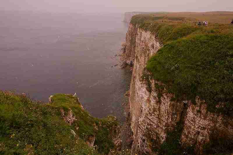 RSPC Bempton Hills by Delaina Haslam