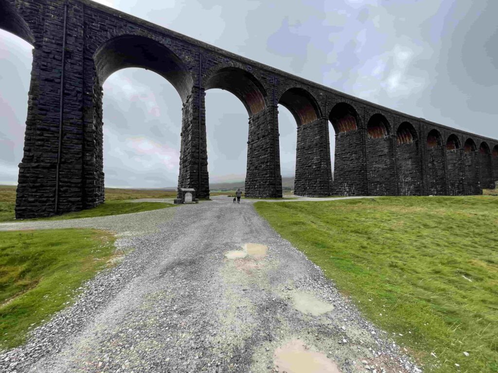 Mabel the staffie cross underneath Ribblehead viaduct