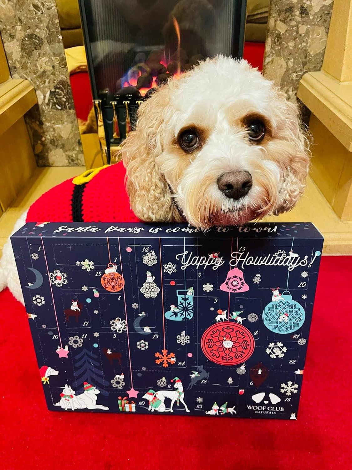 Woof Club naturals giant dog advent calendar