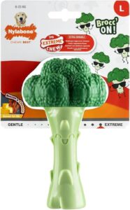 Nylabone green brocolli chew toy in packaging