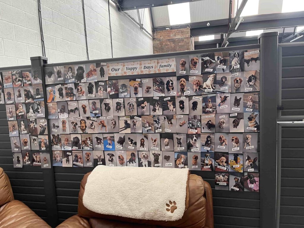 Photo wall of the dogs who go to the doggie day care